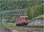 Die SBB Re 6/6 11631 (Re 620 031-5) Dulliken in SBB Rot ist kurz vor Villeneuve auf dem Weg in Richtung Aigle.