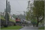 Es herrscht nicht gerade eitel Sonnenschein, als die SBB X-Rail Re 6/6 11688 (Re 620 088-5 / UIC Nummer Re 620  91 85 4620 088-5 CH-SBBC)  Linthal  mit dem  Spaghetti-Zug 47632 von Torino Orbassano (It) nach Perigny (F) kurz nach Villeneuve unterwegs ist. Die SBB Lok hat den Zug in Domo II übernommen und wird ihn in Vallorbe an die SNCF übergeben.

22. Juni 2024