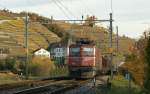 Rote Ae 6/6 N 11419  Kantonslok  im herbstlichen Lavaux bei Lutry.