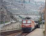 Die SBB Ae 6/6 11417 erreicht mit einem Güterzug den Bahnhof von Rivaz.