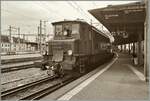 In Lausanne auf Gleis 1 wartet die SBB Historique Ae 4/7 10976 mit ihrem SBB Schulzug (hier nicht zu sehen) auf die Weiterfahrt. 

1. November 2025