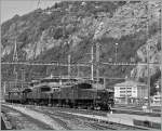 Nochmals, nun in S/W die Krokodile Ce 6/8 III 14305 (Bj 1925) und Ce 6/8 II 14253 (Bj 1919) bei der Ankunft in Brig.