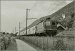 SBB Re 4/4 II 11367 mit einem Cargo Zug bei Ligerz, oben rechts im Bild die Bekannte Kirche von Ligerzh  23.