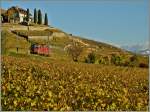 Die Re 4/4 II scheint ber den herbstlichen Weinberg zu  schweben .