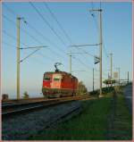 Im Scheinwerferlicht der Morgensonne: Re 4/4 II 11334 in Grandvaux am 23.