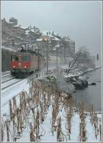 Zwei Re 4/4 II mit einem Heizlzug bei St-Saphorin am 4.