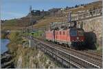 Die beiden SBB Re 4/4 II 11240 und 11259 (Re 420 240-4 und Re 420 259-4) sind zwischen Rivaz und St-Saphorin auf dem Weg in Richtung Villeneuve. 

12. Nov. 2024