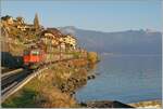 Eine gute halbe Stunde vor dem Sonnenuntergang ist die SBB Re 4/4 II 11294 (Re 420 294-1) Circus KNIE mit einem Güterzug bei St-Saphorin auf dem Weg in Richtung Lausanne. 

15. Nov. 2024