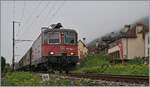bei Ligerz auf dem letzten, kurzen noch verbliebenen Einspurabschnitt der Jurasüdfuss ist die SBB Re 4/4 II 11283 (Re 420 283-4) auf dem Weg in Richtung Biel/Bienne. 

8. Okt. 2025