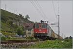 Bei Ligerz auf dem letzten, kurzen noch verbliebenen Einspurabschnitt der Jurasüdfuss Strecke ist die SBB Re 4/4 II 11275 (Re 420 275-0) auf dem Weg in Richtung Neuchâtel. 

8. OKt. 2025