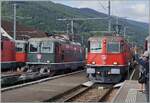 60 Jahre BoBo - daf�r richtete die OeBB ein einmaliges Treffen von 25 Loks aus. Auf diesem Bild in Balsthal aufgenommen zeigen sich die SBB Re 4/4 II 11335 in Gr�n, im Hintergrund zwei rote Re 4/4 II und die nun bei der OeBB eingesetzte Re 4/4 III 11350 mit einen Regionalzug von Oensingen kommend bei der Ankunft in Balsthal. 

14. September 2024