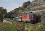 Die SBB Re 4/4 II 11198 mit ihrem Fussballfan Extrazug von Bern nach Sion beim 20 Meter langen Salanfe Tunnel auf der steile Talfahrt der Train des Vignes Strecke Richtung Vevey.