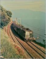 Die SBB Re 4/4 II 11314 ist zwischen St-Saphorin und Rivaz mit einem Schnellzug in Richtung Lausanne unterwegs. Leider geht auf den damals gemachten Aufzeichnungen nicht hervor, ob der Zug nach Genève oder Zürich (via Jura Südfuss) fuhr. Beachtenswert ist auf diesem Bild auch die zierliche Fahrleitung.  

Analogbild vom Juli 1985 