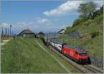 re-460/345759/die-sbb-460-015-1-mit-einem Die SBB 460 015-1 mit einem IC nach St.Gallen zwischen Bossière und Grandvaux.
23.04.2014