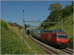 SBB RE 460 002-9 mit IC nach St.