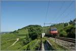 Re 460 038-3 mit IC nach Genve Aroport; die Zugsspite ist schon fast am linen Bildrand.