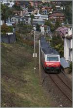 Die SBB Re 460 048-2 erreicht mit ihrem IR in wenigen Minuten ihr Ziel Locarno.