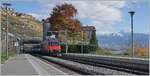 Eine SBB Re 460 ist bei Rivaz mit einem IR90 in Richtung Lausanne unterwegs.