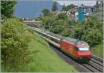 In der Gegensichtung schiebt eine SBB Re 460 ihren IR 90 bei La Tour-de-Peilz ihren IR 90 in Richtung Brig. 

21. Juni 2024