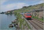 Mit einer SBB Re 460 an der Spitze fährt kurz nach Rivaz der SBB IR 95 1721 von Genève Aéroport nach Brig im Wechselbetrieb auf dem rechten Gleis in Richtung Vevey- 

19. Mai 2025