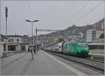 Die SBB Re 460 010  Swiss Tainable  ist in Montreux mit einem IR 90 von Genève Aéroport nach Brig unterwegs und dies wenig Minuten bevor die MOB Ge 4/4 8004  Swiss Tainable  Montreux erreicht hat, wobei beim zeitgleichem Erscheinen wohl es kaum möglich gewesen wäre beide Loks auf ein Bild zu bekommen. 7. Dezember 2024