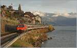 Eine SBB Re 460 ist bei St-Saphorin mit ihrem IR 90 auf dem Weg in Richtung Lausanne, rechts im Bild gleitet der Blick weit über den See bis zum Château de Chillon.