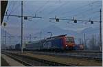 Die SBB Re 474 012 mit einer RoLa in Domodossola.