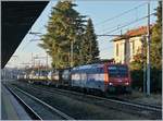 Im letzten Licht des Tages konnte ich es mir nicht verkneifen, die SBB Re 474 003 mit einem Güterzug bei der Durchfahrt in Gallarate zu fotografieren.
5. Jan. 2019