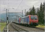 Zwei SBB Re 474 befördern bei Mülenen auf der Lötschbergstrecke einen Tranisitgüterzug in Richtung Norden.