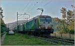 Die BLS Re 475 412 und eine weitere fahren im Schatten mit einem via Alte Hauensteinlinie umgeleiteten Güterzug Richtung Sissach.