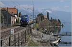 Die WRS Re 475 902 fährt mit einem Kesselwagenzug Richtung Lausanne bei St-Saphorin am Genfer See entlang. Das Bild entstand auf dem Bahnsteig von St-Saphorin.

25. März 2022