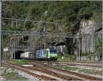 Nach der langen Fahrt durch den Simplontunnel hat die BLS Re 485 018 mit einer weitern Lok nun auch den kurzen Iselle Tunnel hinter sich gelassen und fährt nun durch den Bahnhof von Iselle di Trasquera in Richtung Domodossola. 

12. Sept. 2024