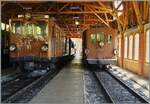 In der Ausstellungshalle von Chaulin stehen die beiden braunen aber sonst ziemlich verschiedenen Loks Ge 4/4 81 (ex RhB) und HGe 3/3 29 (ex BOB). 

23. August 2026