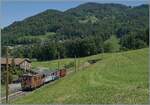 Festival Suisse de la vapeur / Schweizer Dampffestival 2026 - die BOB HGe 3/3 29 der Blonay Chamby Bahn ist mit ihrem Zug bei Cornaux in Richtung Chamby unterwegs.