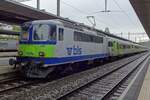 Grau und trb war 28 Mai 2019 in Spiuez wann BLS 502 mit der ex-Swiss-Express als RB aus Interlaken Ost nach Zweisimmen eintraf.