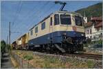 Die �berrschung des Tages und dies gleich Bild f�llend: die IRSI  Rheingold  Re 4/4 II 11387 (Re 421 387-2 / UIC 91 85 4421 387-2 CH-IRSI) ist mit eine  gelben  Anhang in Ligerz auf dem Weg von Chavornay in Richtung Biel/Bienne. 
Obwohl die Lok das Bild sehr dominiert, ist doch noch der Kirchturm der bekannten Kirche von Ligerz zu sehen.  

16. Juli 2026
