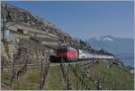 Heute gab es wieder einen Umleitungsverkehr via die Train des Vignes Strecke und da ich zwischenzeitlich festgestellt hatte, dass neben den RABe 511 auch Re 460 geführte Züge in den Genuss