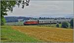 Noch unter alten Fahrleitungsmasten (und deshalb kaum zu sehen) ist eine SBB Re 460 mit ihrem IC bei Rosé einige Minuten vor Fribourg auf dem Weg nach St.Gallen.