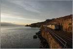 Nachdem die Herbstabend Stimmung Gefallen gefunden hat, hier noch ein Bild mit dem nun definitiv letzten Licht des Tages im Lavaux zwischen Rivaz und St-Saphorin: Die SBB Re 460 037  Lattesso  ist mit