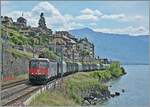 Die SBB Re 6/6 11679 (Re 620 079-4)  Cadenazzo  ist mit dem Novelis Güterzug bei St-Saphorin auf dem Weg von Sierre nach Göttingen. 

19. Mai 2025