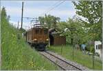 Nostalgie & Vapeur 2021 / Nostalgie & Dampf 2021 - so das Thema des diesjährigen Pfingstfestivals der Blonay Chamby Bahn, und von beidem gab es reichlich; ebenfalls in Cornaux zeigt sich die