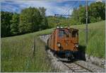 Nostalgie & Vapeur 2021  /  Nostalgie & Dampf 2021  - so das Thema des diesjährigen Pfingstfestivals der Blonay-Chamby Bahn.