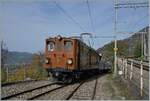 Die Bernina Bahn Ge 4/4 81 ist wieder zurück und auch schon wieder im Einsatz, hier in Chamby am 29.