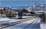 Die MOB Ge 4/4 8001 erreicht mit ihrem MOB GoldenPass Panoramic PE 2119 von Zweisimmen nach Montreux den Bahnhof von Saanen.