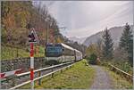Kurz nach Gstaad erklimmt die MOB Ge 4/4 8002 mit ihrem GoldenPass Express auf der Fahrt von Montreux nach Interlaken die Steigung in Richtung Schönried und wird unmittelbar nach dieser Aufnahme über den Grubenbachviadukt fahren. 
13. Oktober 2024 Kurz nach Gstaad erklimmt die MOB Ge 4/4 8002 mit ihrem GoldenPass Express auf der Fahrt von Montreux nach Interlaken die Steigung in Richtung Schönried und wird unmittelbar nach dieser Aufnahme über den Grubenbachviadukt fahren. 
13. Oktober 2024