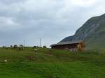 (163'766) - Bergrestaurant und K�he am 23.