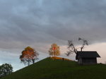 (171'415) - Abendsonne am 25.