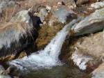 (168'078) - Kleines B�chli am 29.
