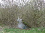 (179'260) - B�chli und Str�ucher am 1.