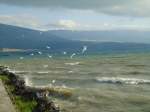 (140'761) - St�rmischer Neuenburgersee am 22.
